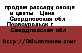 продам рассаду овощи и цветы › Цена ­ 10 - Свердловская обл., Первоуральск г.  »    . Свердловская обл.